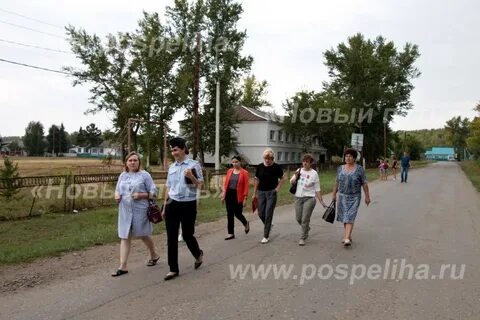 Погода мамонтово алтайского края на 14