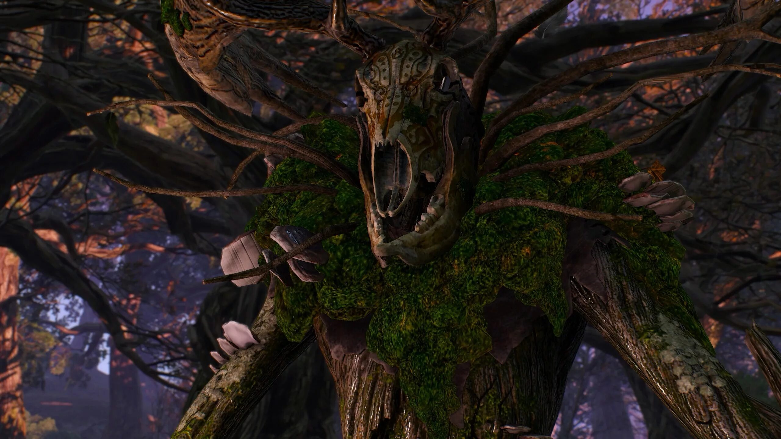 Ведьмак дух. Ведьмак дерево на шепчущем холме. Witcher 3 леший. Ведьмак 3 дикая охота локация шепчущий холм. The witcher 3 wild hunt шепчущий холм.