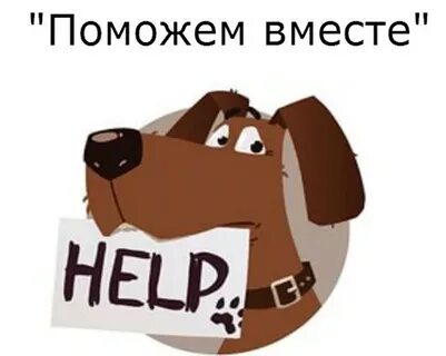 Поможем 39