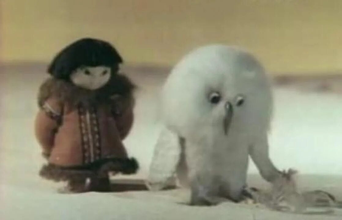 Мальчик шел сова летела. Мальчик шел сова. Мальчик шёл сова летела мультфильм 1981. Мальчик шел сова. Мальчик шёл сова летела юлиан калишер 1981.