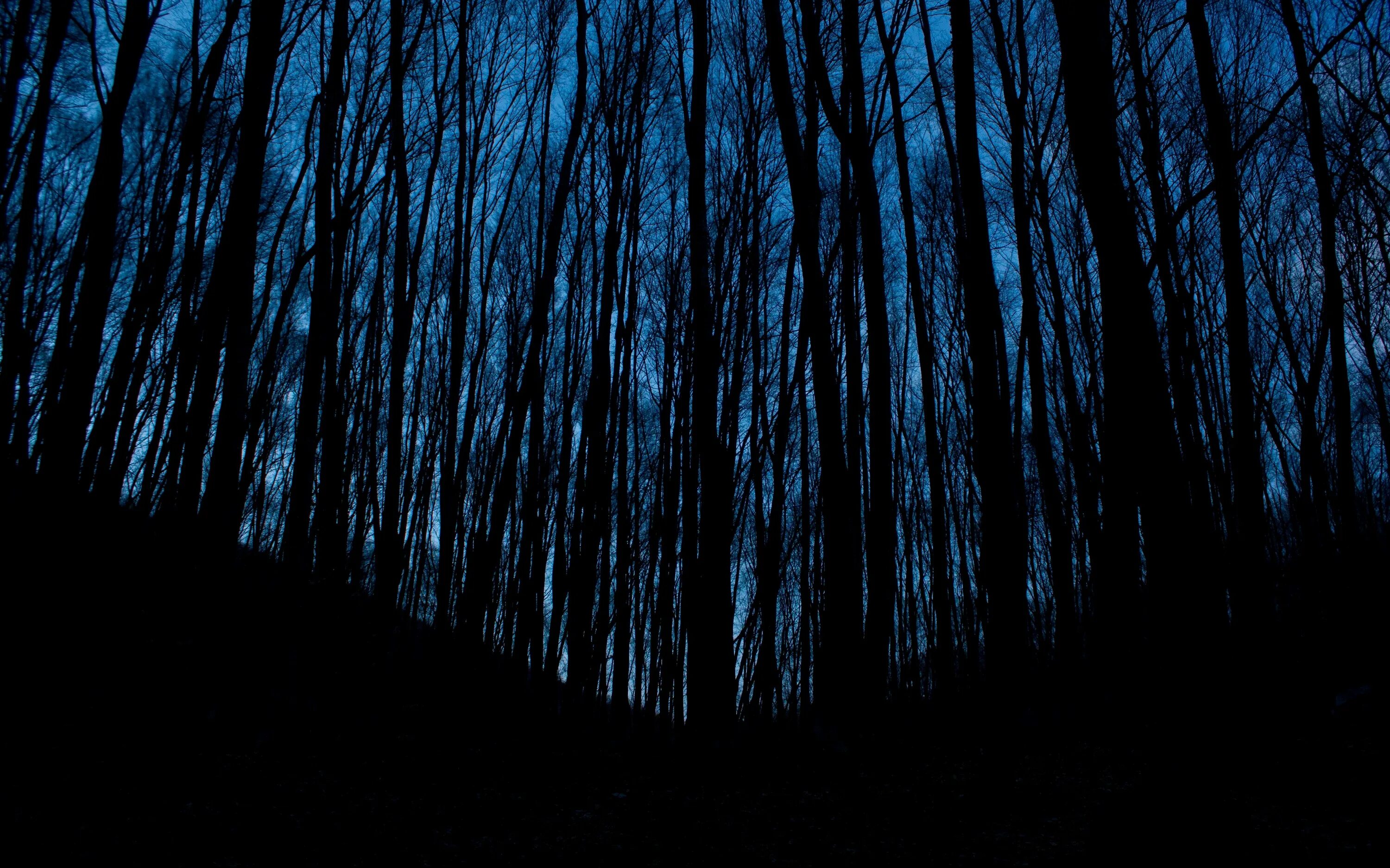 Ominous wallpaper HD phone wallpaper wallpapers.media