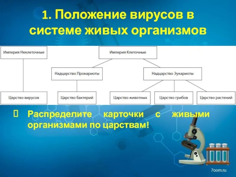 Царства живых организмов вирусы. Место вирусов в системе живых организмов. Место вирусов в системе живых организмов микробиология.