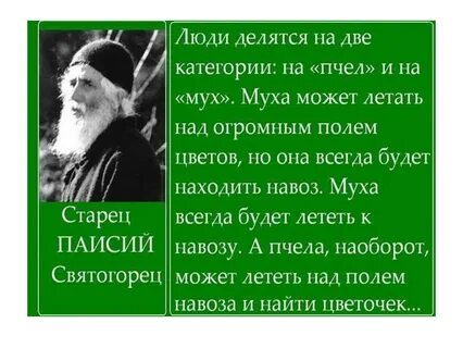 Есть люди пчелы и люди