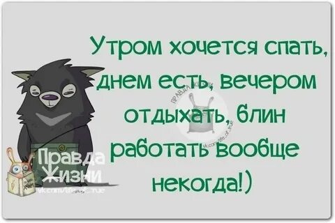 Правда жизни рассказы