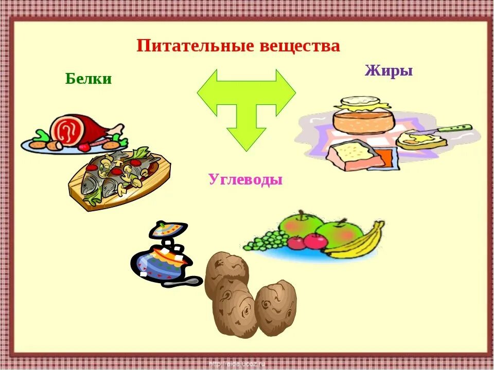 Еда жиры белки и углеводы. Питательные вещества белки жиры углеводы. пища и питательные вещества. рисунок на тему белки жиры углеводы. белки жиры углеводы для детей.