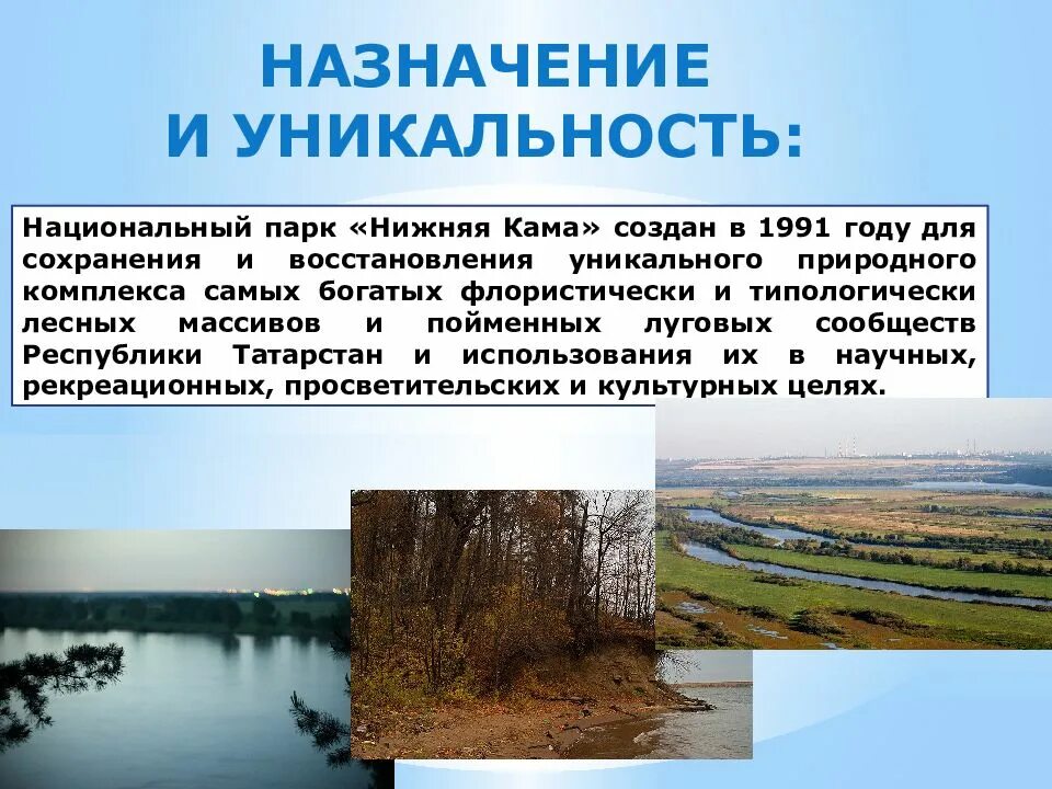 Значение национальный парк заповедник. Национальный парк нижняя Кама. Парк нижняя Кама Татарстана. Нижняя Кама Елабуга. Национальный парк нижняя Кама рассказ.