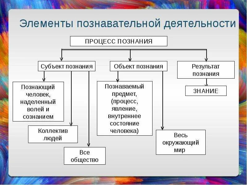 Виды познавательной активности. Виды познавательной деятельности. познавательная деятельность человека. формы процесса познания.