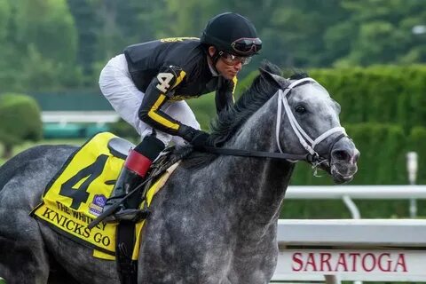 The horse won the race
