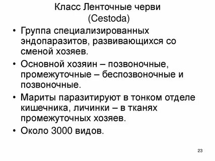 Характеристика класса ленточные черви