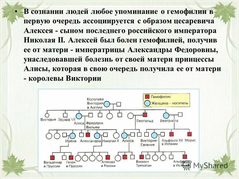 Гемофилия презентация. Гемофилия задачи по генетике. Наследование гемофилии. Задачи с гемофилией по биологии. У матери не являющейся носителем гена гемофилии