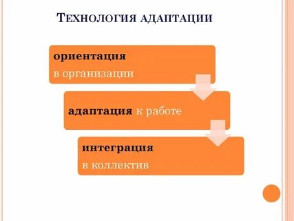 Пути адаптации