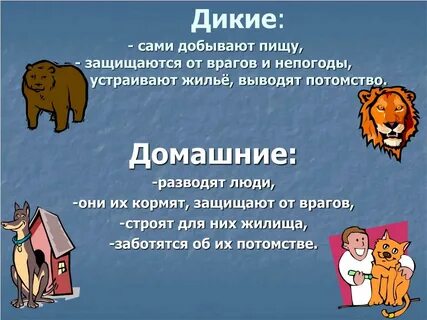 Вывести потомство