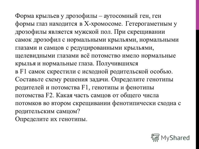 при скрещивании двух дрозофил с нормальными крыльями. при скрещивание нормальных дрозофил. скрестили дигетерозиготных самцов мух дрозофил. доминантные и рецессивные признаки у дрозофилы. при скрещивании двух дрозофил с нормальными крыльями.