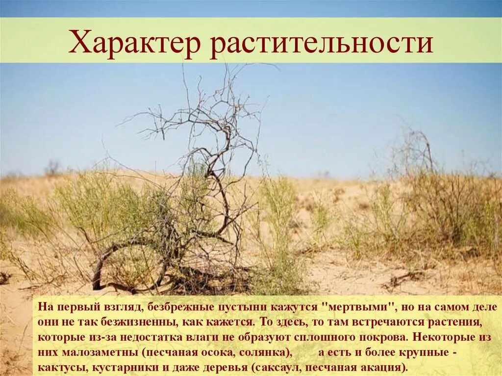 Проблемы полупустынь в россии. Пустыни и полупустыни Евразии растения. Природные зоны пустыни и полупустыни. Растительный и животный мир пустынь и полупустынь в России. Растительный мир пустынь и полупустынь.