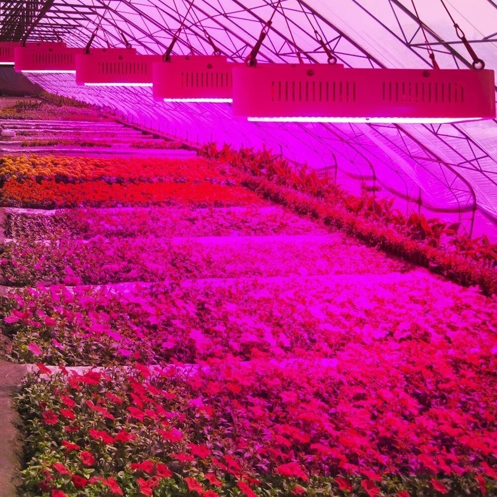 Led grow plant. Фитолампа led grow Light. Led Full Spectrum 1200w для теплицы. Led grow Light фитосветильник 1000вт. Led лампы для растений 600w 220v.