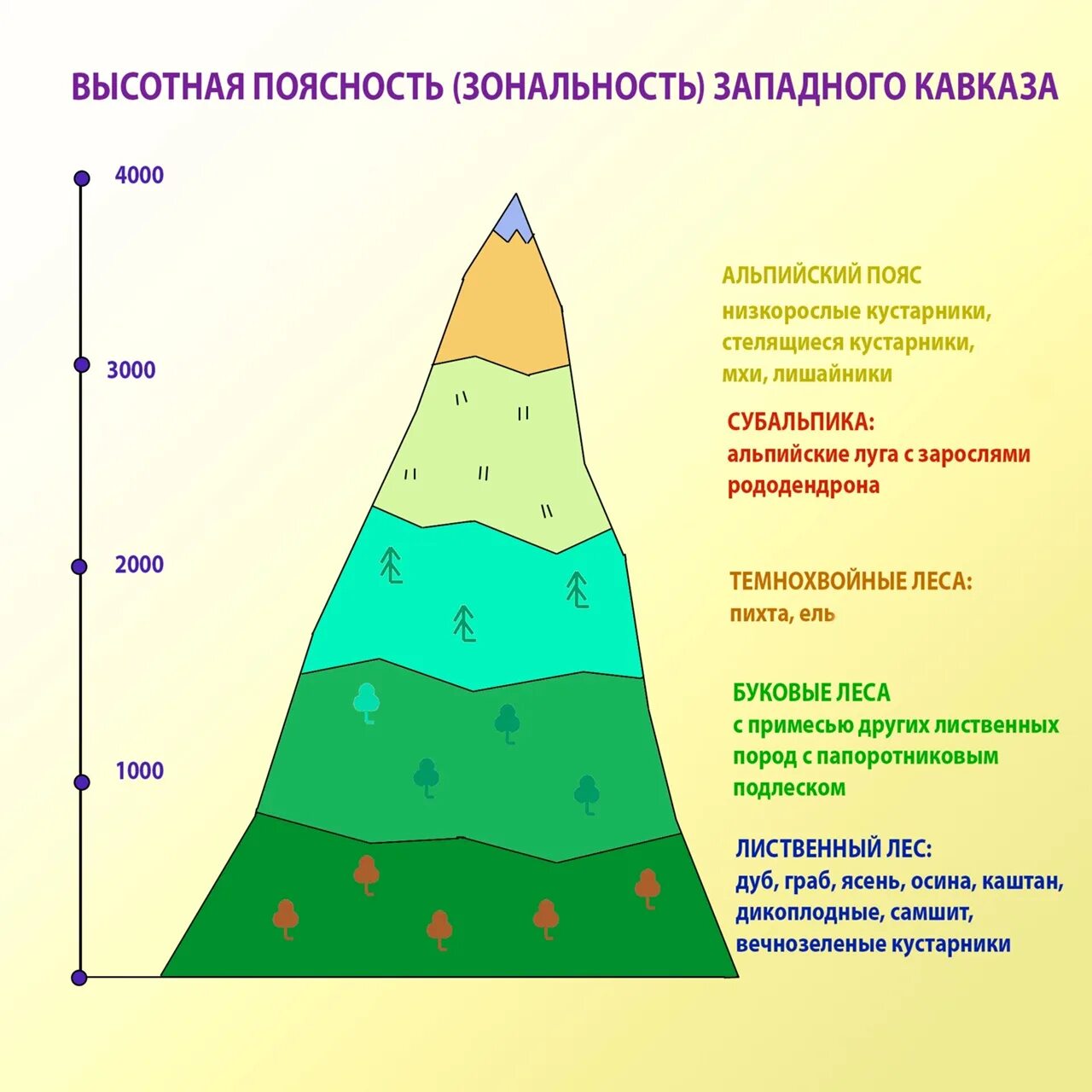 Схема ВЫСОТНОЙ поясности горы Эльбрус. Высотная поясность? Природные пояса. Высотная поясность восточного Кавказа. Северный Кавказ схема ВЫСОТНОЙ поясности. Высотная поясность урала и кавказа