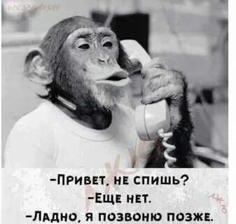 Позже свяжусь