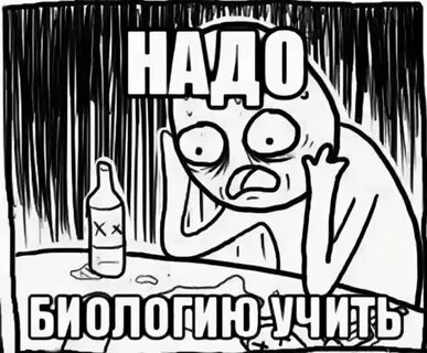 Ну я настаиваю