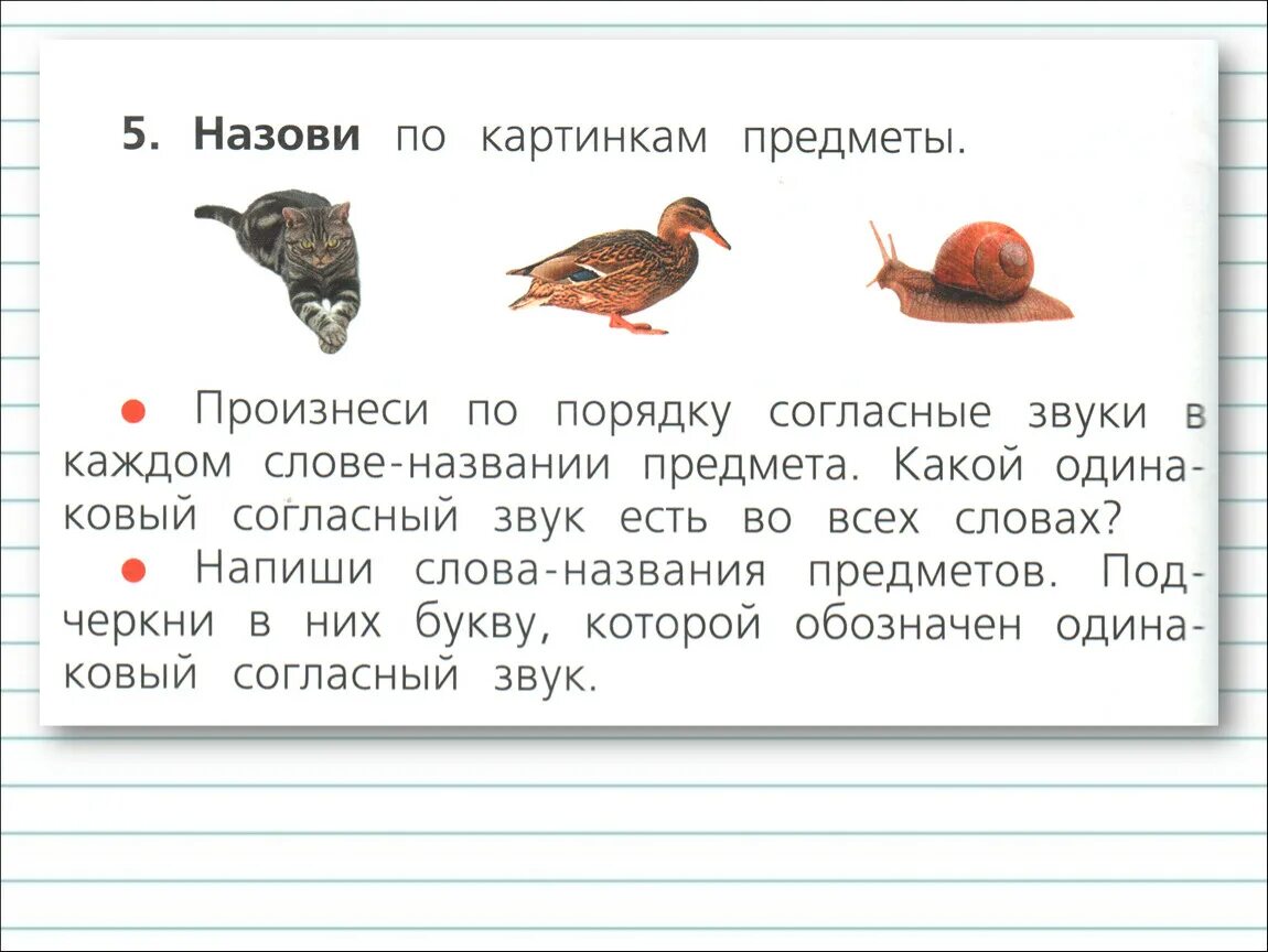 Назови названия предметов произнеси по порядку. Слова с двумя ПП В корне. Назови предметы и произнеси все звуки. Произнесите названия предметов платье воробьи колосья.