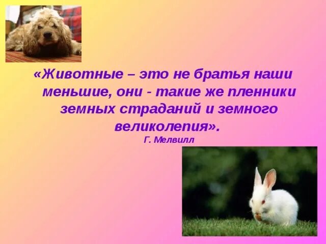 Почему животные братья наши меньшие. Проект братья наши меньшие. Почему мы называем животных братьями нашими меньшими 1 класс. Братья наши меньшие рисунки. Братья наши меньшие презентация.