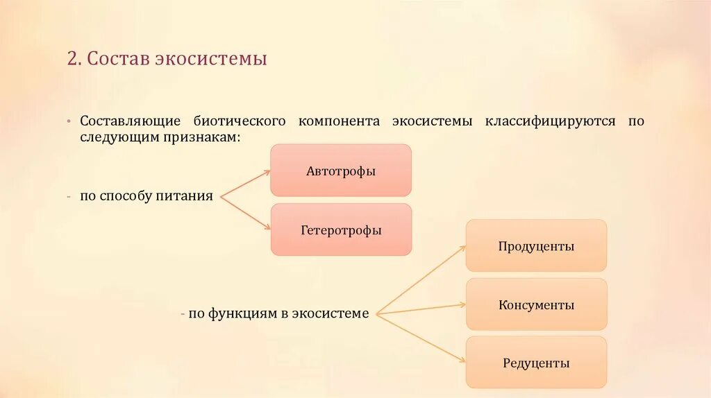 Экосистемы компоненты экосистем презентация. Состав компонентов экосистемы. Схема состава компонентов экосистемы. Схема основных компонентов экосистемы. Составляющие экосистемы.