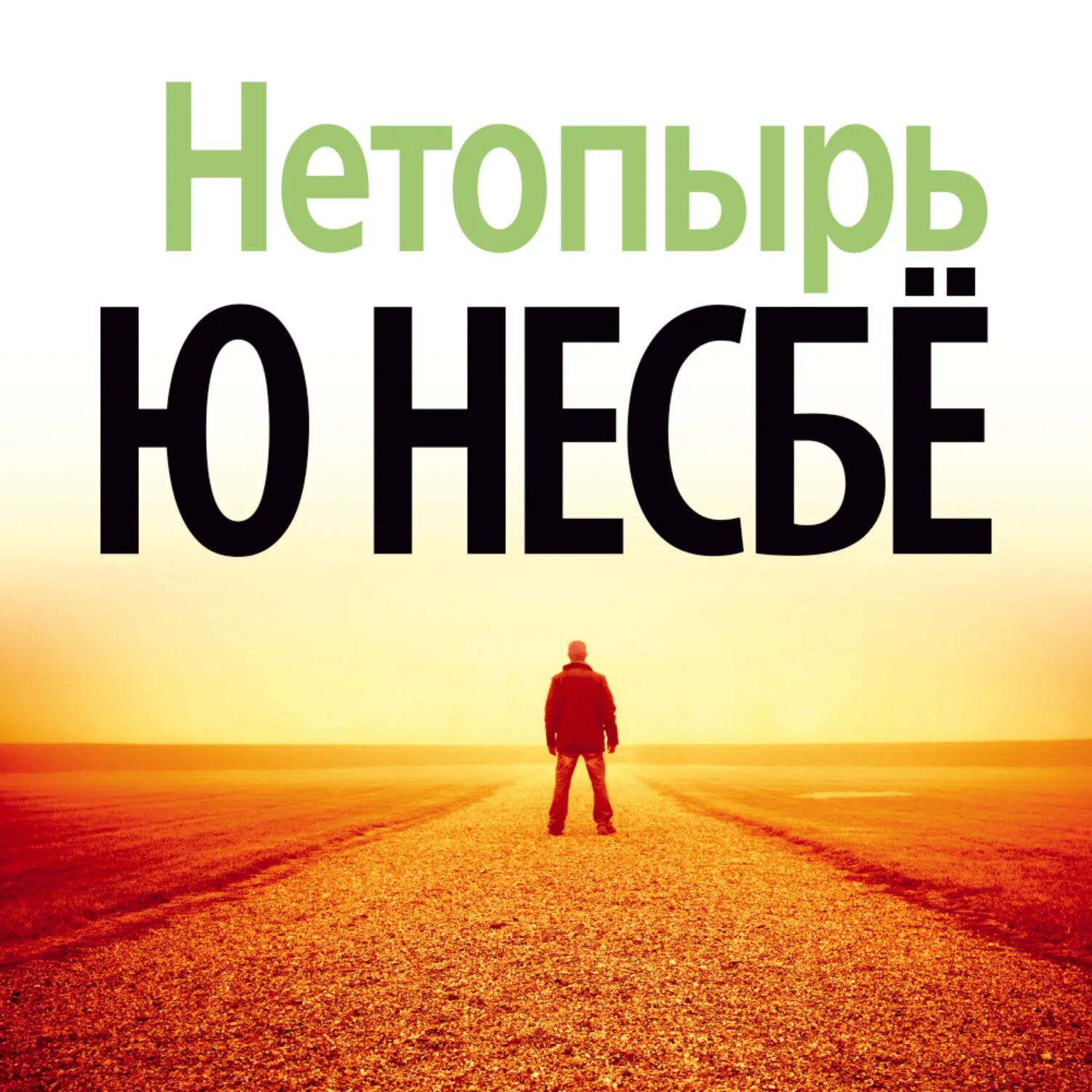 Книги про харри холе. Несбе ю "нетопырь". Нетопырь книга Несбе. Норвежский писатель ю несбё книги.