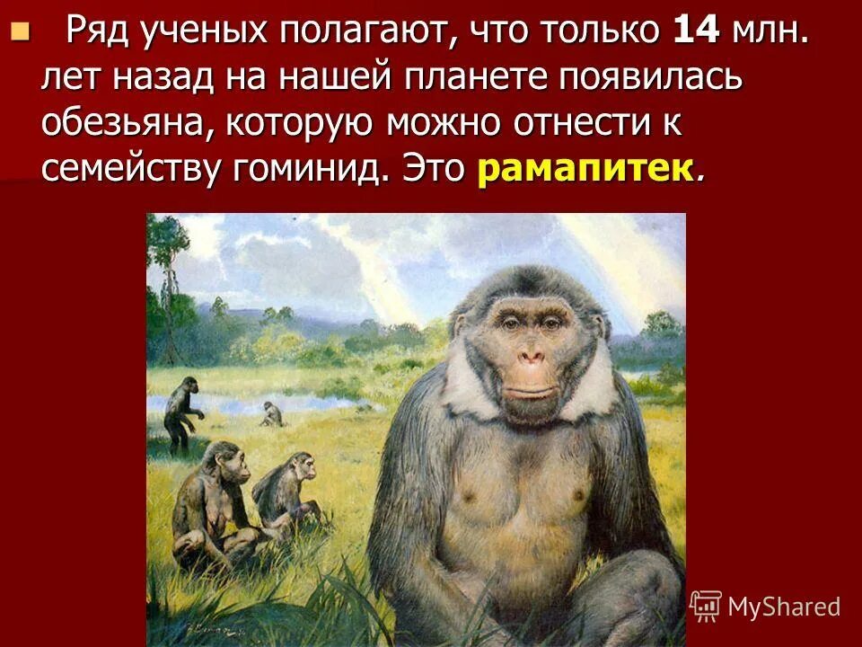 Рамапитек. Обезьяна появившаяся на нашей планете 14 млн. Лет назад.. Рамапитеки презентация. Как появились обезьяны