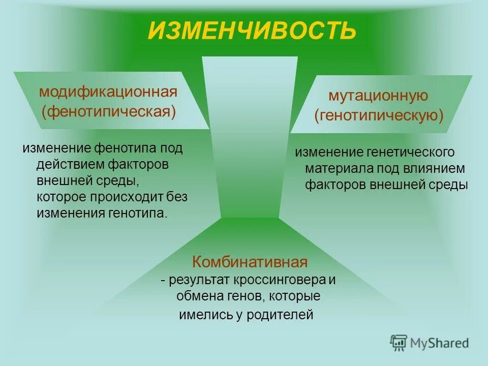 Происходит какой вид. Влияние на фенотип мутационной изменчивости. Факторы фенотипической изменчивости. Модификационная изменчивость и фенотипическая изменчивость. Изменение фенотипа.