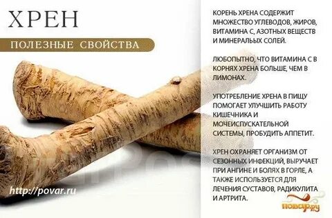 Полезные свойства основ