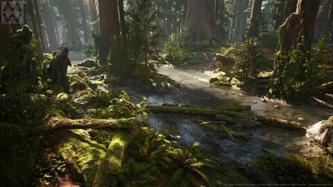 Unreal engine forest