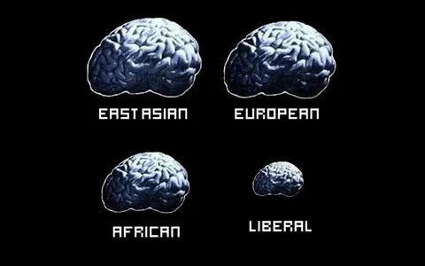Small brain