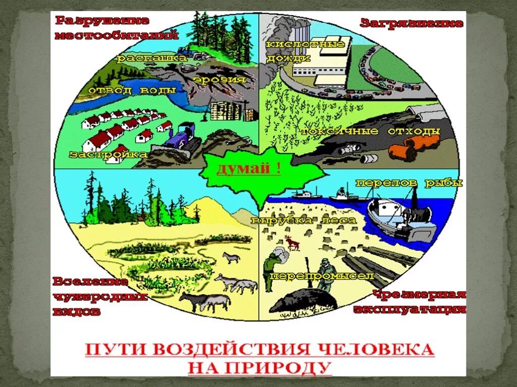 Примеры влияние среды на человека. Влияние человека на природу. Негативное воздействие человека на природу. Отрицательное влияние человека на природу. Прямое воздействие человека на природу.