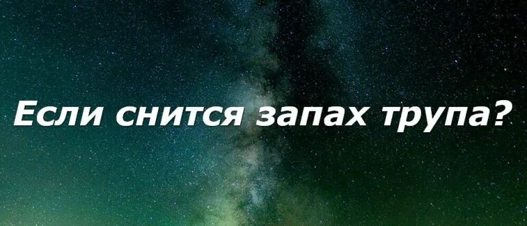 Эфирные масла для спокойного сна. К чему снится вонь. Зловонное дыхание. Лаванда для сна. К чему снятся вещие сны.