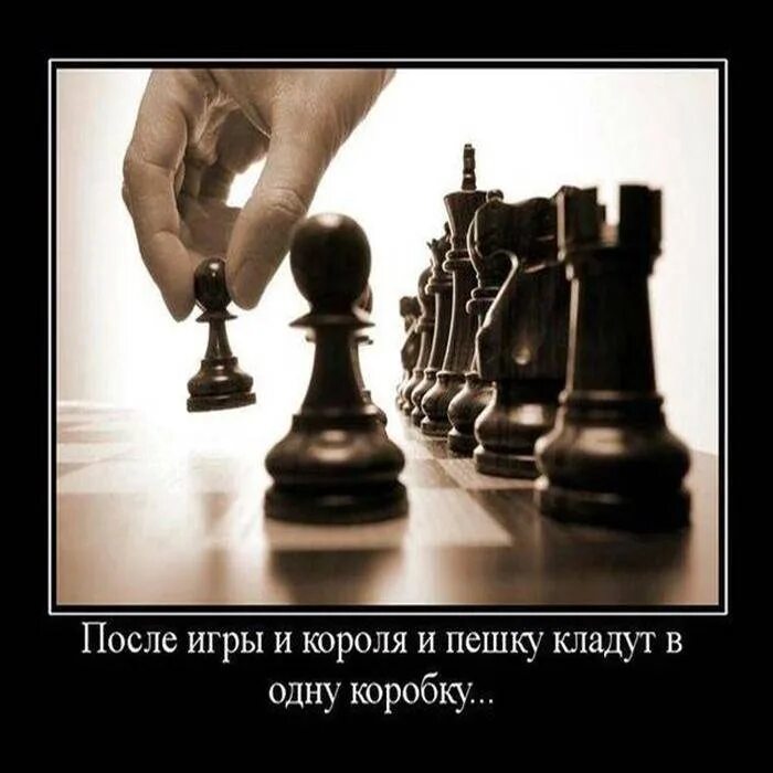 Я никогда не проигрываю. Афоризмы про шахматы. Статус про игру. Высказывания о шахматах. Афоризмы про шахматы.