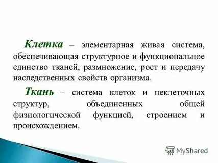 Элементарная биологическая система способная