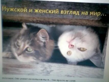 Понять ж