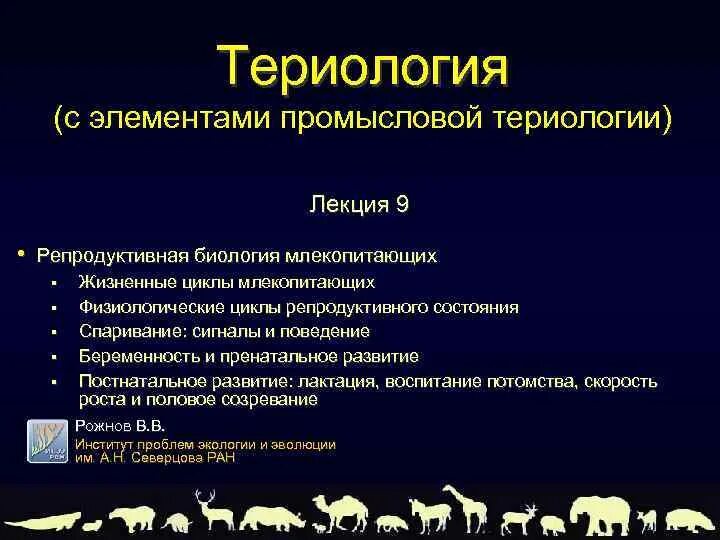 Териология это наука изучающая. Териология. Териология это наука. Наука изучающая млекопитающих. Промысловая териология.