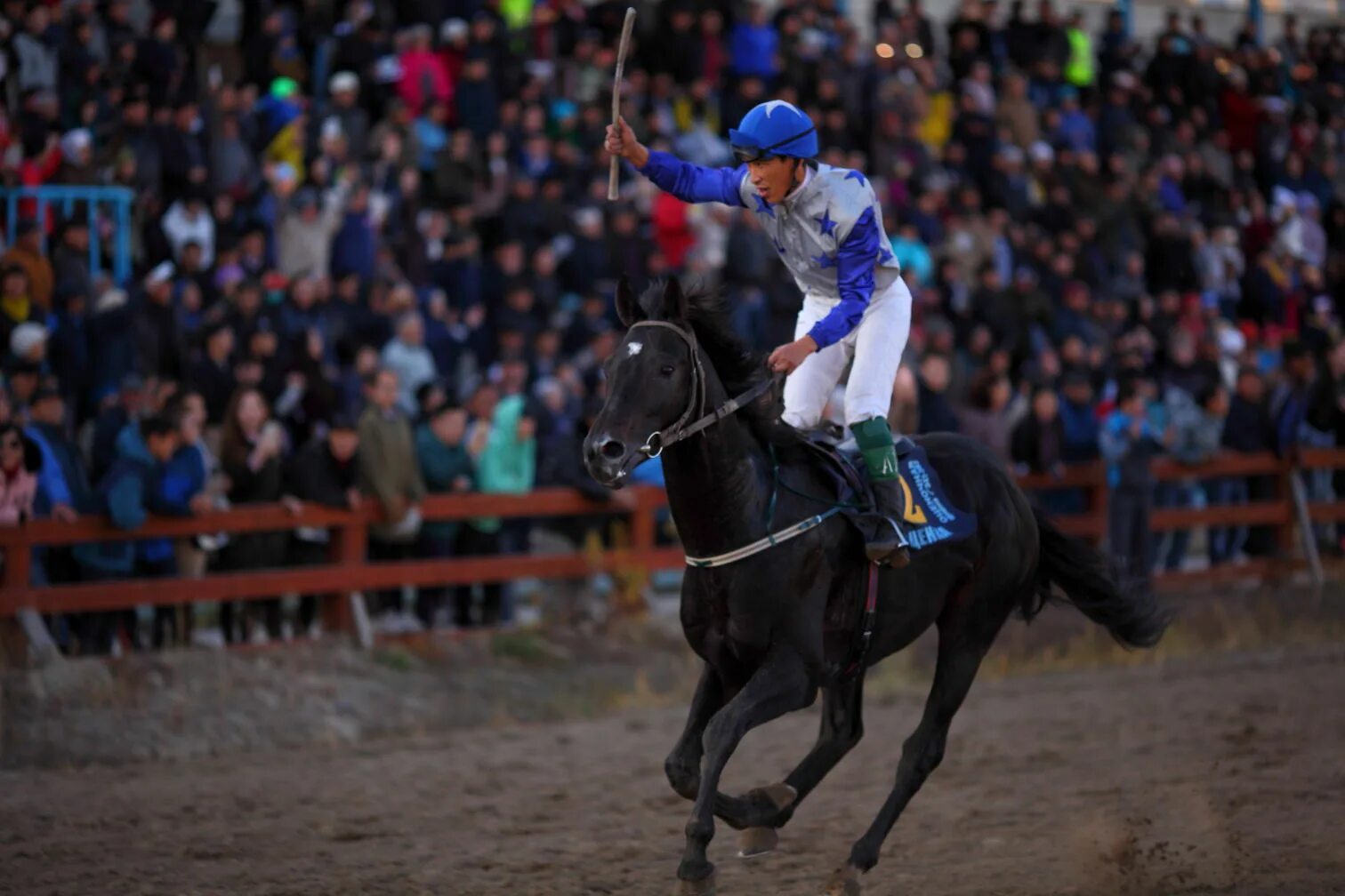 Скачка 2017. Московский скаковой ипподром. Скачка 2017. Скачка 2017. Скачка 2017.