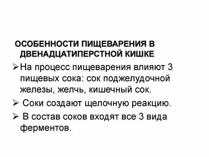 Особенности пищеварения кратко