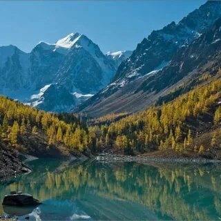 Покажи алтай