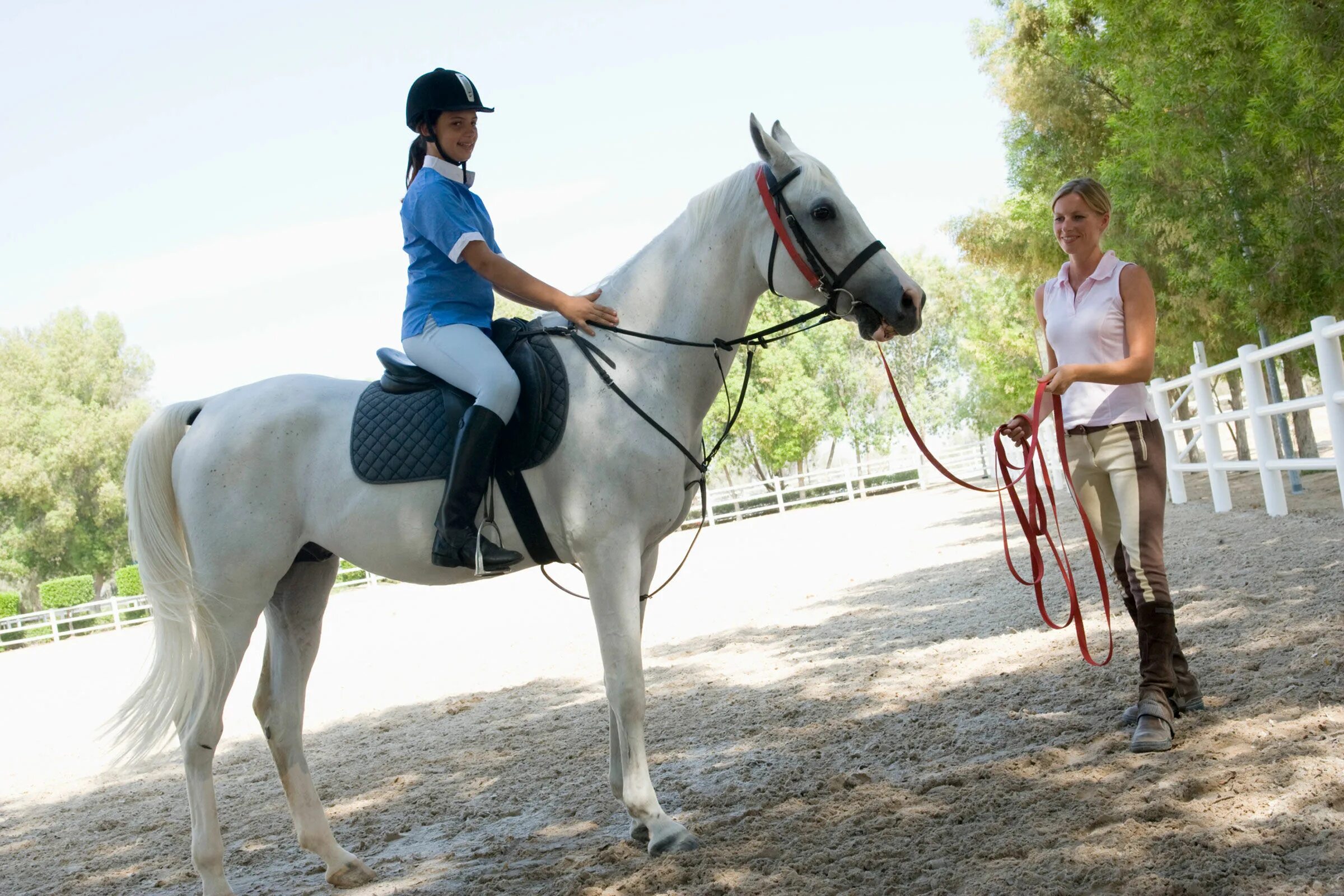 Start riding. Хорс райдинг. Верховая езда. Езда на лошади. Конные занятия.