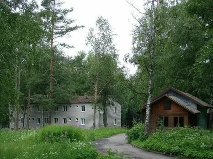 Паруса ленинградская