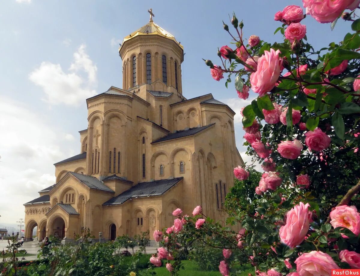 Georgia armenia. Монастырь Цминда Самеба. Мтацминда Тбилиси цветы.