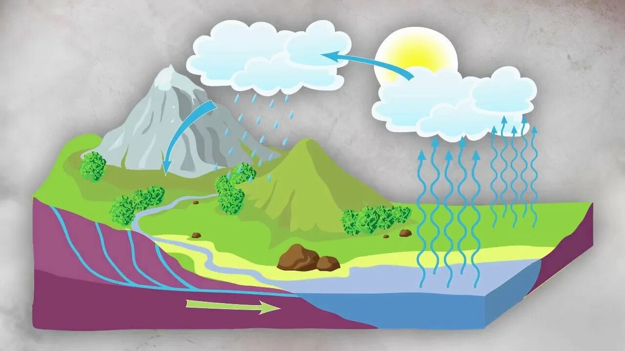 Круговорот углерода в природе схема. Круговорот углерода в биосфере. Круговорот воды описание. Круговорот углерода в природе химия 9 класс. Круговорот азота схема 9 класс биология.