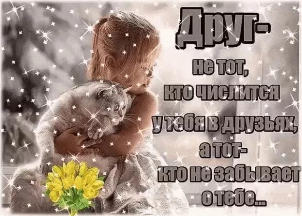 Цитаты волков. Про забытую дружбу. Забыли друзья цитаты. Друзья не забываются. Живи и не думай что кто-то о тебе забыл друзья не.