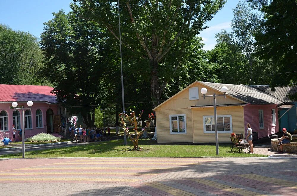 лесные зори. лагерь лесные зори дол. лесные зори лагерь лнр. лесные зори ровеньки лнр. лесные зори.