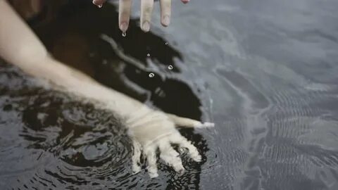 Руки в воду опущу