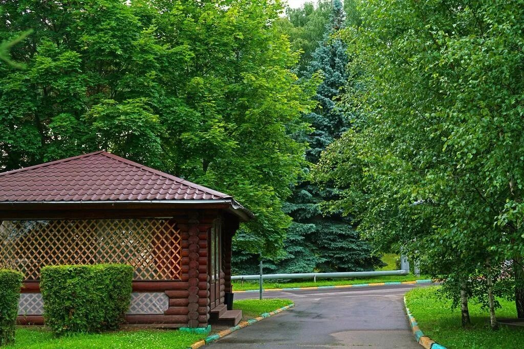 Подворье басовская