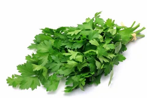 Parsley перевод на русский