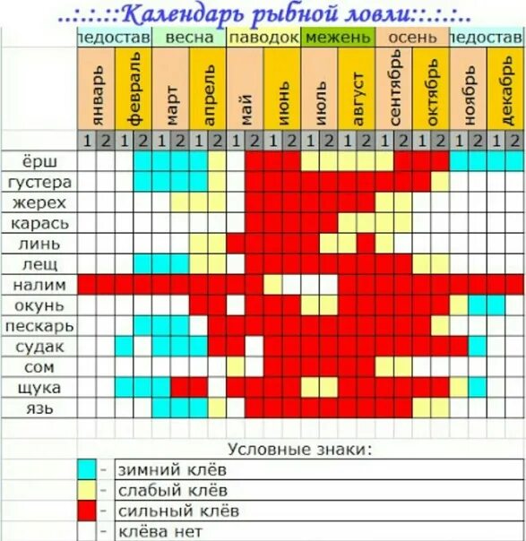 Календарь ловли. Календарь лова рыбы. Активность клева карася. Таблица активности рыбы по месяцам. Какая рыба ловится весной